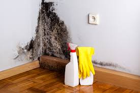 Perryopolis, PA Mold Prevention & Removal  Company